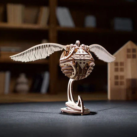 Chase the Moment of Glory